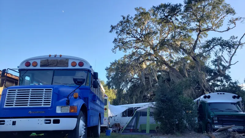 Blue International school bus conversion beside a huge moss-draped live oak